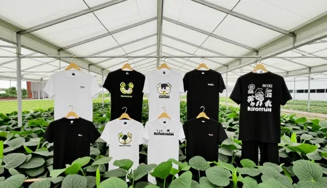 品牌联名服饰选型关注点：性能与适用条件的误区澄清