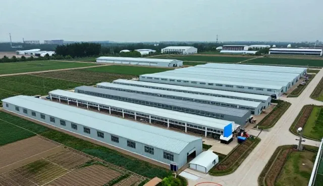 企业管理系统性能优化的实用建议与维护策略