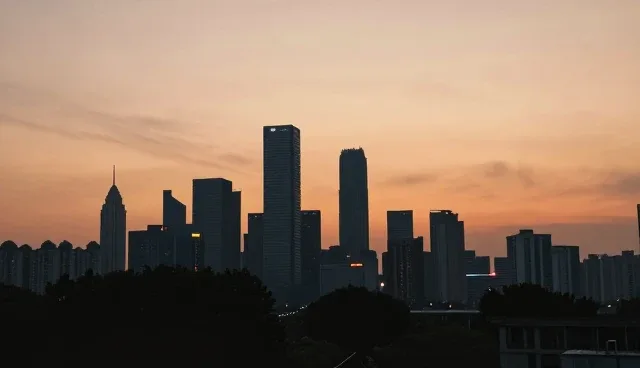 定制化方案在业务流程中的适用条件与选择依据