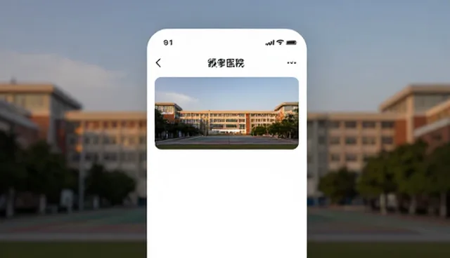 小程序网站维护中适用条件的解析与应对策略