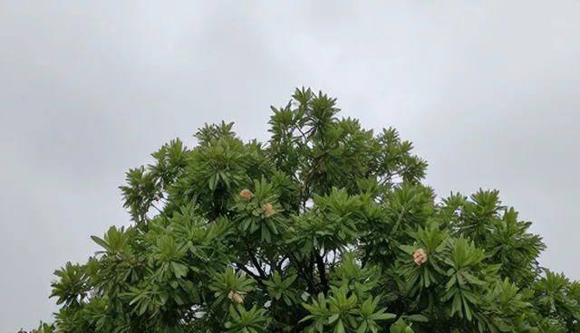 软件运维中版本控制与日志分析的处理要点