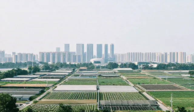 运维场景下技术选型的核心关注点解析