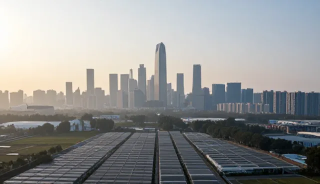 企业管理系统实施中的常见问题与应对策略