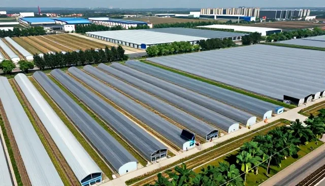 数据洞察如何推动多方合作关系的深化与落地