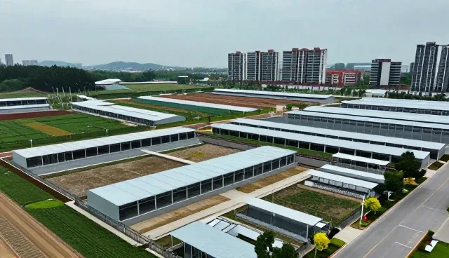 智能管理在应用场景中的常见问题与应对策略