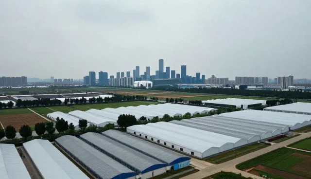 公众号在地区性网站维护中的实际应用分析