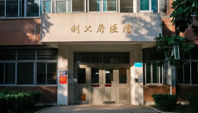技术开发中的省心服务如何提升性能与适用性