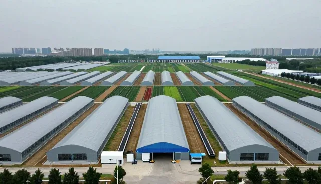 规格定制在质量检验业务中的发展趋势分析