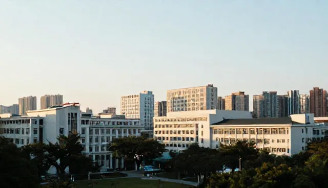 网站建设改版：企业黄页展示平台的优化路径