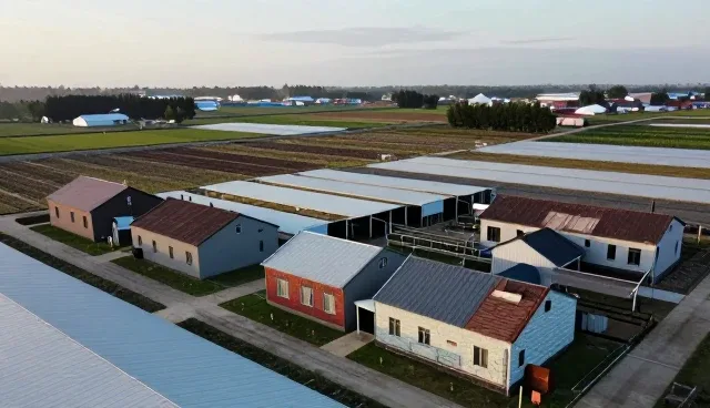 地域差异下用户体验优化的关键策略分析