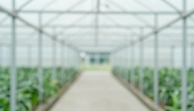 系统稳定性在实际应用场景中的关键作用