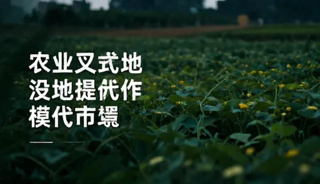 技术支持人员如何适应提示词版本迭代的业务发展趋势