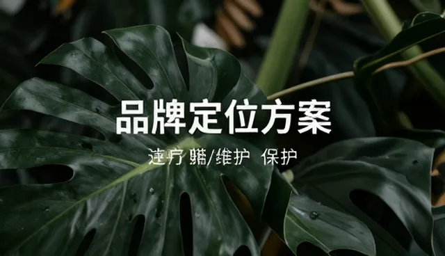 企业转型期品牌咨询的商务实践路径