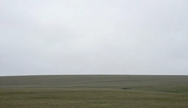 天山网站测试流程：关键环节与优化建议