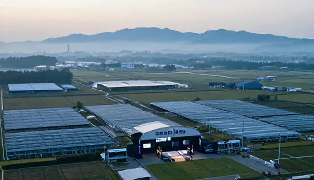 赛事直播平台运维中的关键节点与操作建议