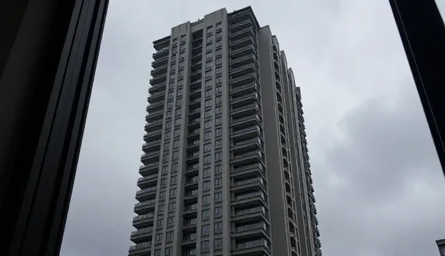 供应链优化中品牌代理模式的演进路径