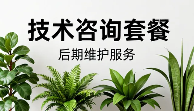 后期维护服务中稳定性提升的关键问题与应对策略