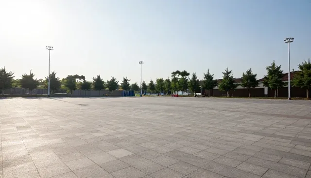 信息咨询服务在项目管理中的发展趋势与实践路径
