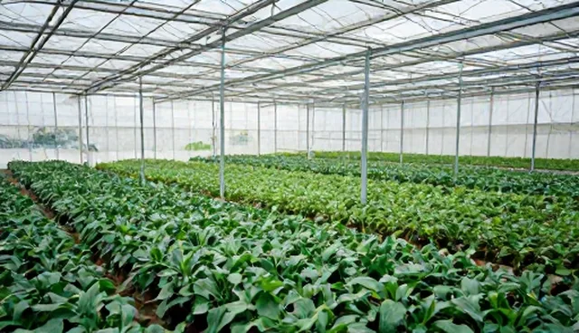如何通过创意执行实现流量增长？