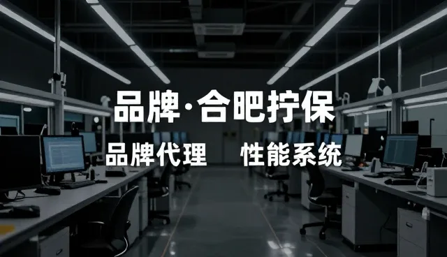 电商销售场景下品牌代理的实战应用与挑战