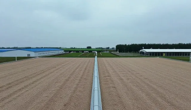 提升种苗质量的关键措施与日常维护建议