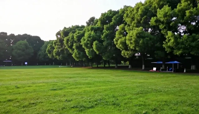 企业管理系统选型中如何判断成本控制的实际价值