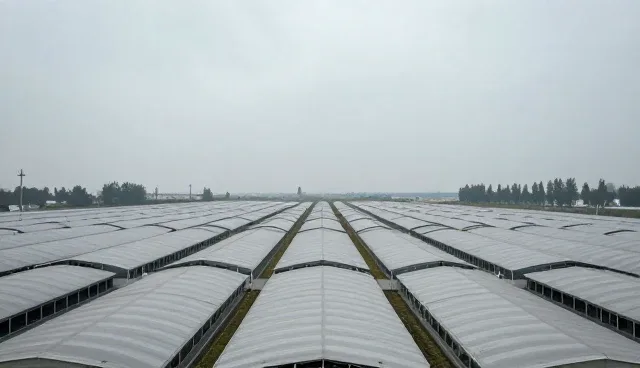 部以商铺在不同环境下的性能表现与适用方向设计