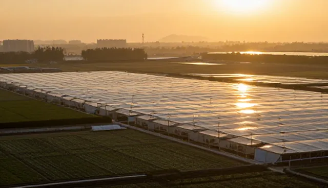 信息技术支持在系统实施中的关键作用与维护建议