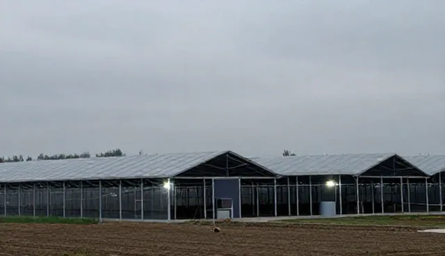 活动策划中宣传片制作的场景化应用与业务发展路径