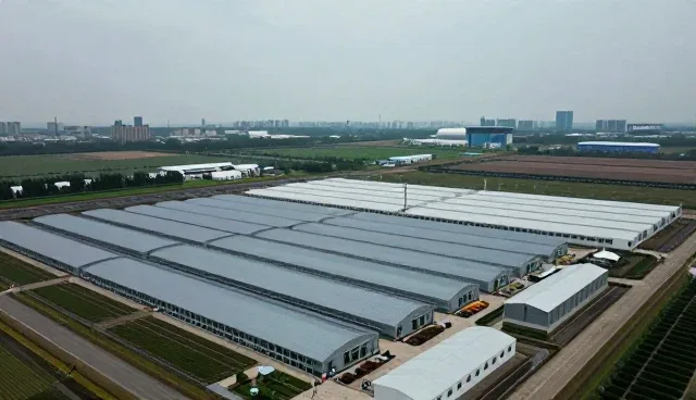提升订单处理效率的关键策略与实践