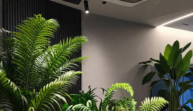 核对清单：软件选型时应关注的关键技术点