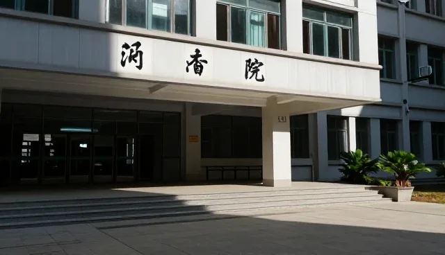 视觉传达中活动策划执行的性能差异与适用条件比较