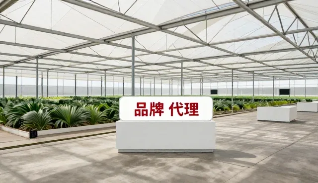 品牌代理合作中的常见问题与解决策略