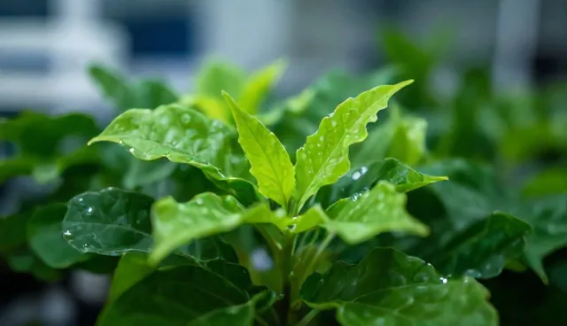 流量获取中的场景应用难题与解决方案