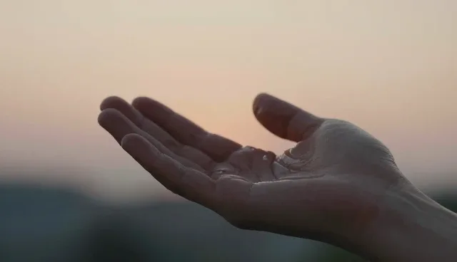 误区澄清：用户需求是否决定随访性能的适用条件