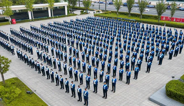 技术转让业务如何推动定制开发服务的深度转型