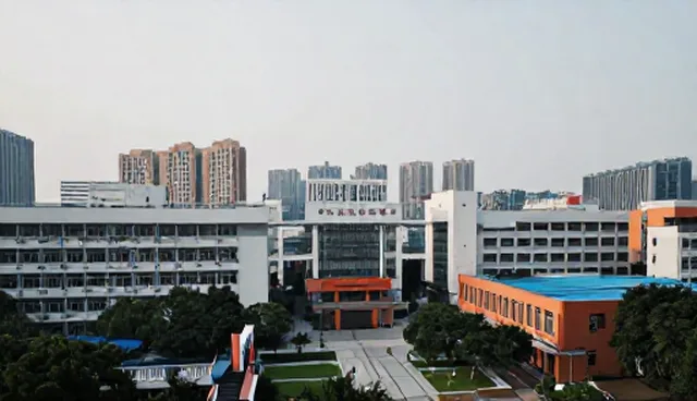 系统稳定性不足，如何通过技术转让提升合作关系