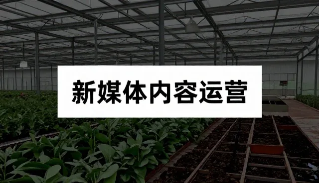 内容分发中用户互动不足的常见问题与解决方法