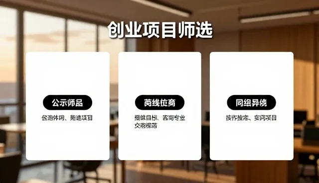 分类管理：创业项目筛选中的加盟政策分析