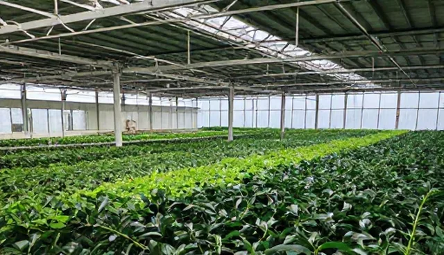 定制化软件技术支持中的服务响应关键问题解析