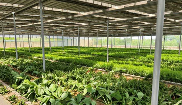 域名注册与服务器托管的适用场景与限制分析