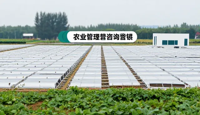 信息流转优化如何提升项目管理效率