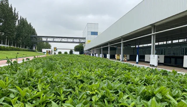 个性化诊疗方案如何提升健康检查效率