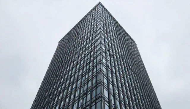 域名服务常见问题及高效处理策略