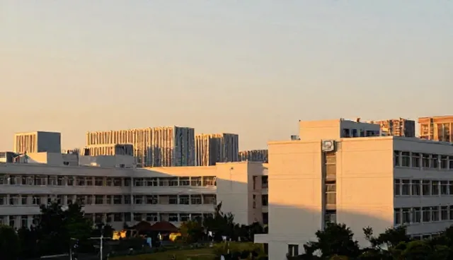 业务流程优化对系统实施效率的影响