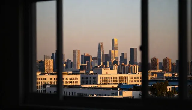 平台网站定制开发，构建涵盖企业名录的高效查询系统