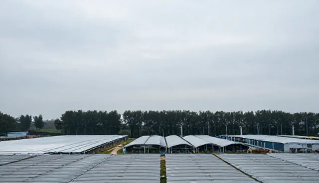 技术运维中选型关注点与性能适用条件说明