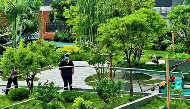 搜索引擎优化如何推动业务场景的深度变革