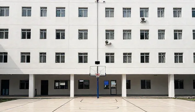如何通过团队协作建立信任关系