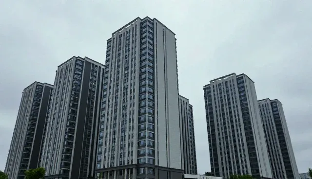 商务考察场景中的适用条件分析与实践路径